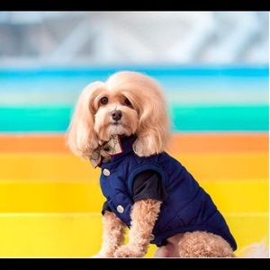 Meet your Posher, Josh